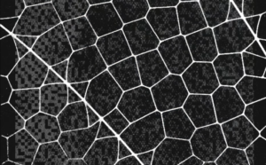 Project Glasswing - Anthropic