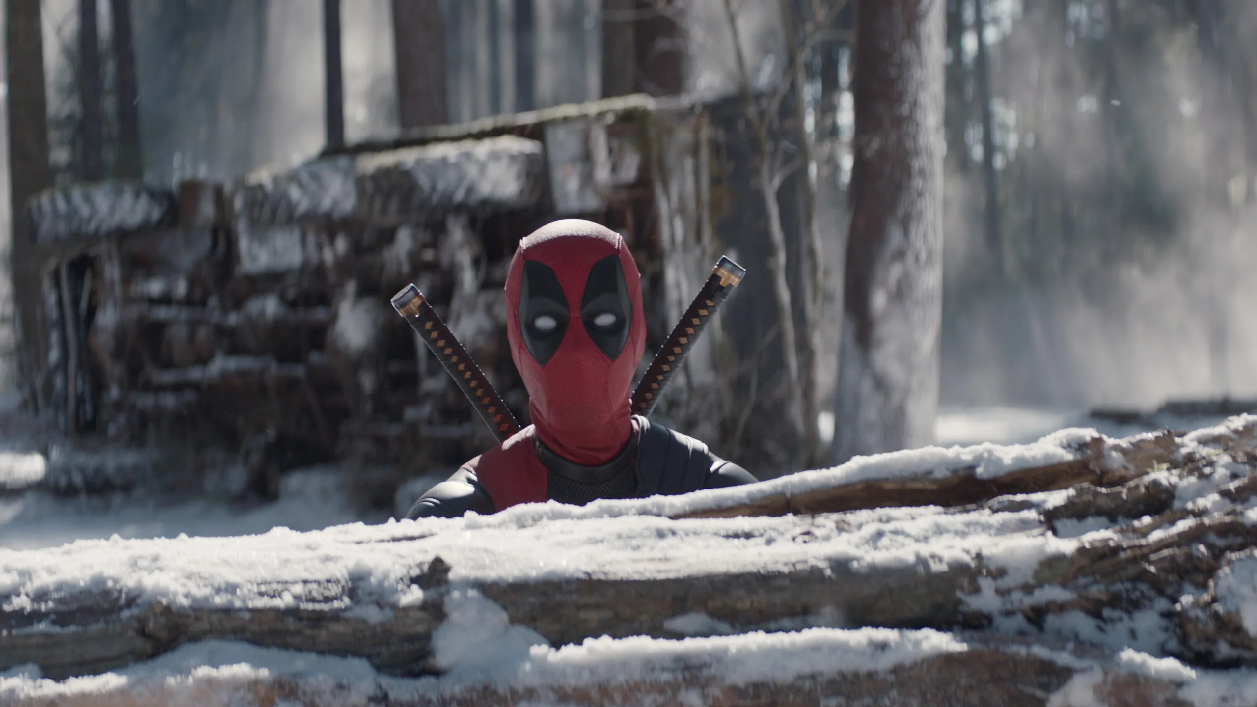 Deadpool kigger frem bag væltede træstammer i Deadpool & Wolverine