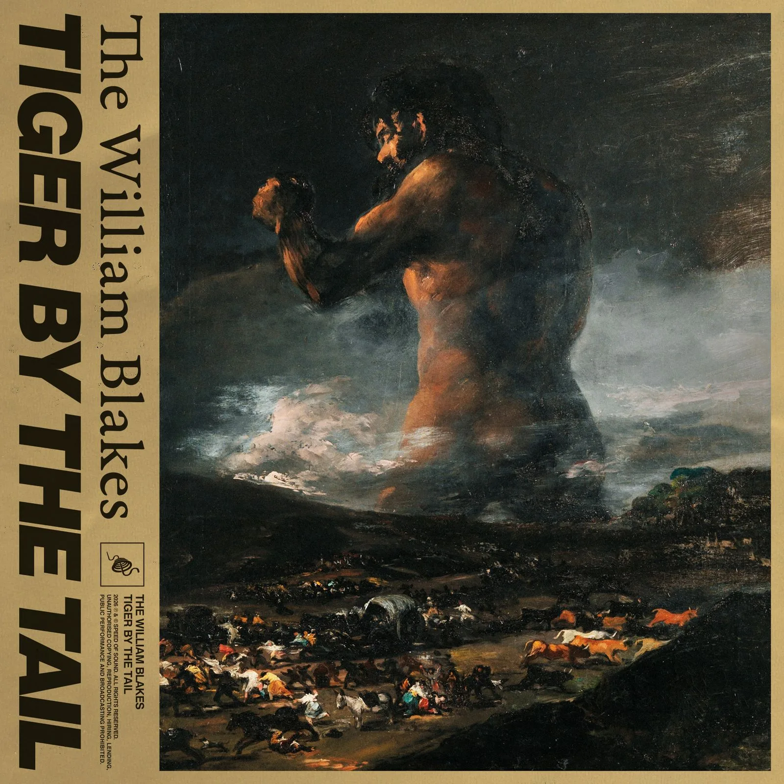 Albumcoveret til Tiger By The Tail
